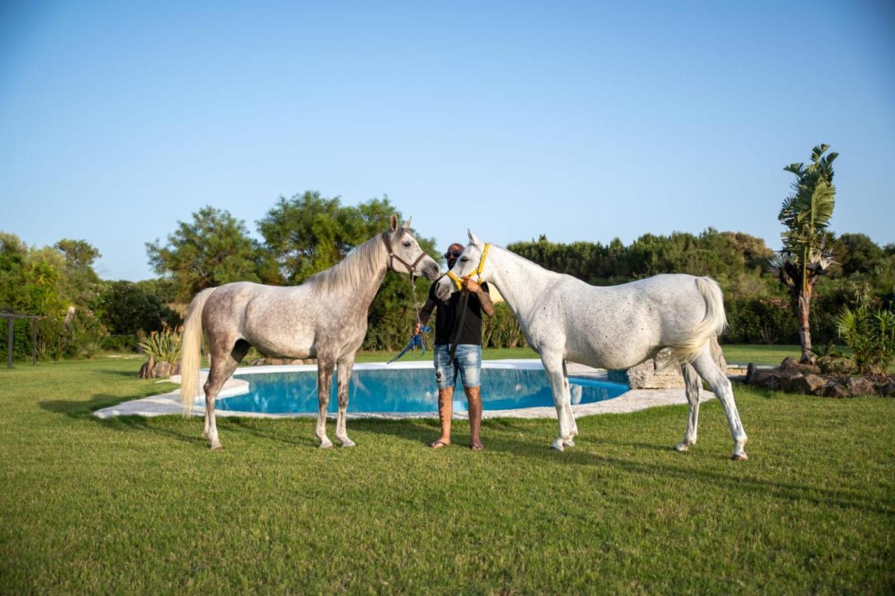 Agriturismo Santa Lucia Tratalias Esterno foto